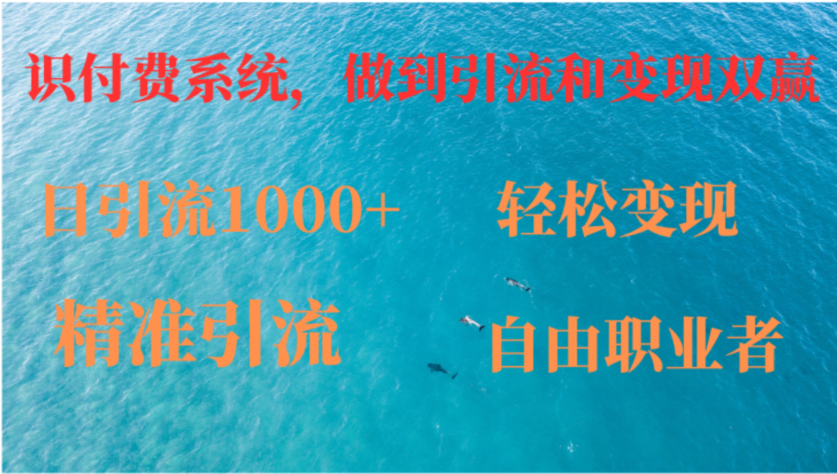 如何搭建自己的知识付费系统，做到引流和变现双赢-随风资源网