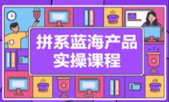 拼系冷门蓝海产品实操课程，从注册店铺到选品上架到流量维护环环相扣-随风资源网