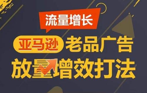 流量增长 亚马逊老品广告放量增效打法，短期内广告销量翻倍-随风资源网