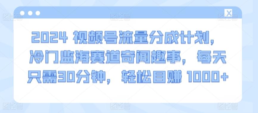 2024视频号流量分成计划，冷门监海赛道奇闻趣事，每天只需30分钟，轻松目赚 1000+【揭秘】-随风资源网