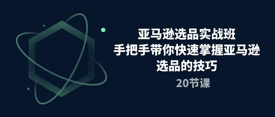 亚马逊选品实战班，手把手带你快速掌握亚马逊选品的技巧(20节课-随风资源网