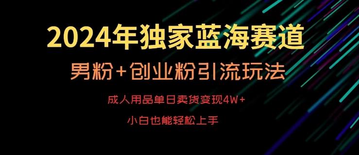 2024年独家蓝海赛道，成人用品单日卖货变现4W+，男粉+创业粉引流玩法，不愁搞不到流量【揭秘】-随风资源网
