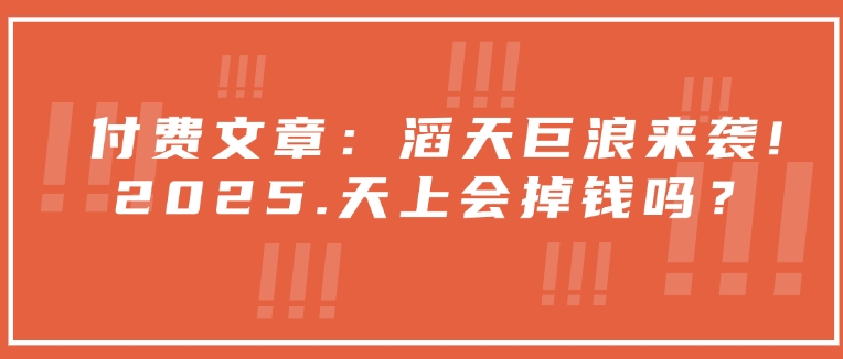 付费文章：滔天巨浪来袭！2025天上会掉钱吗？-随风资源网