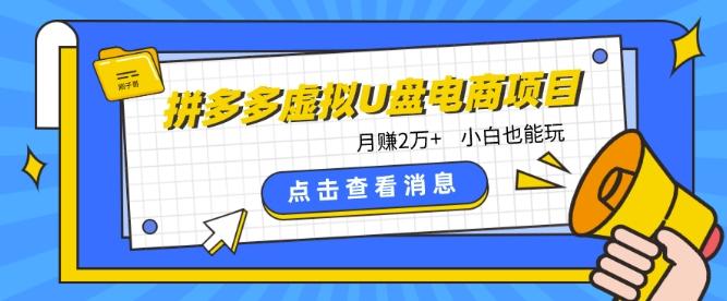 拼多多虚拟U盘电商红利项目：月赚2万+，新手小白也能玩-随风资源网