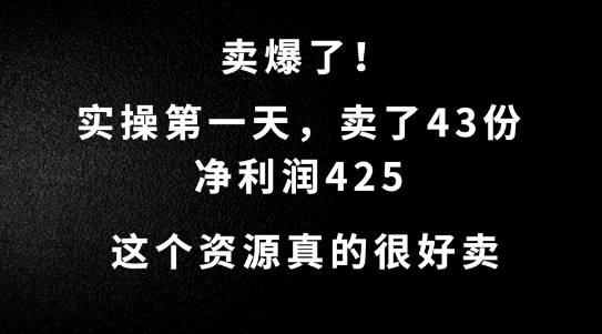 这个资源，需求很大，实操第一天卖了43份，净利润425【揭秘】-随风资源网