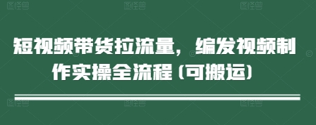 短视频带货拉流量，编发视频制作实操全流程(可搬运)-随风资源网