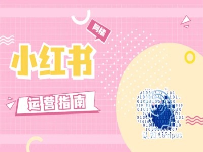 小红书运营指南，没有套路，全是经验-随风资源网