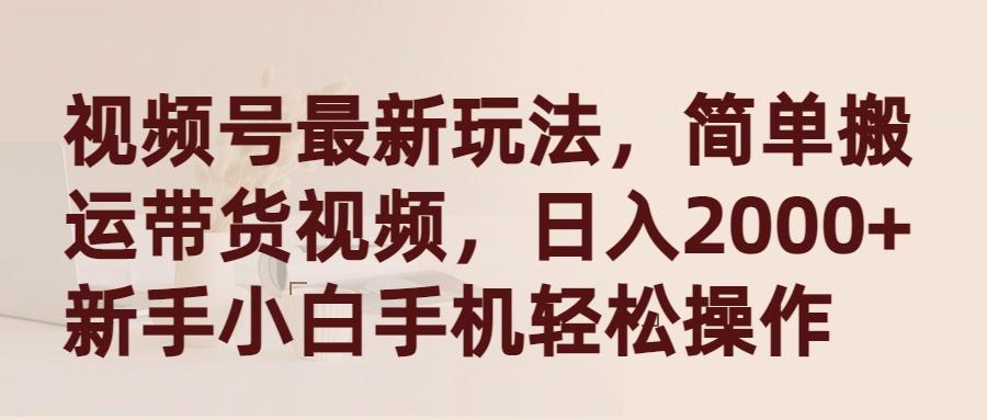 (9486期)视频号最新玩法，简单搬运带货视频，日入2000+，新手小白手机轻松操作-随风资源网
