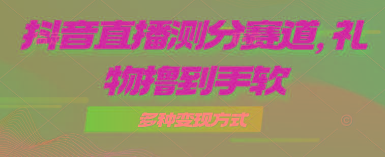 抖音直播测分赛道，多种变现方式，轻松日入1000+-随风资源网