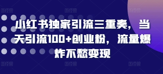 小红书独家引流三重奏，当天引流100+创业粉，流量爆炸不愁变现【揭秘】-随风资源网