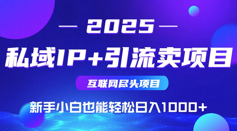私域IP+卖项目，普通人小白也能轻松实现日入1000+-随风资源网