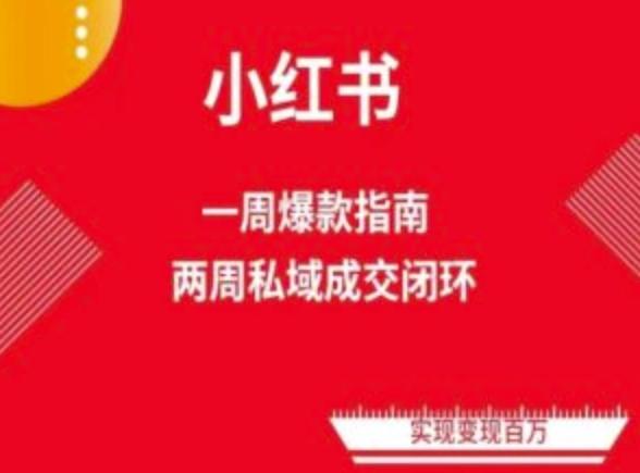爆款小红书免费流量体系课程(两周变现)，小红书电商教程-随风资源网