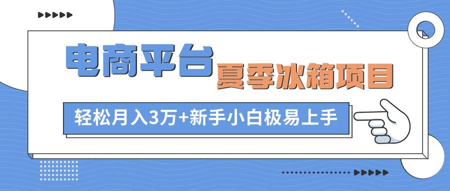 电商平台夏季冰箱项目，轻松月入3万+，新手小白极易上手-随风资源网