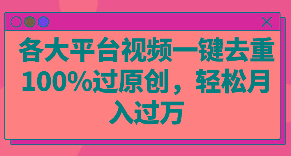 各大平台视频一键去重，100%过原创，轻松月入过万！-随风资源网