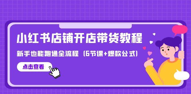 (9883期)最新小红书店铺开店带货教程，新手也能跑通全流程(6节课+爆款公式)-随风资源网
