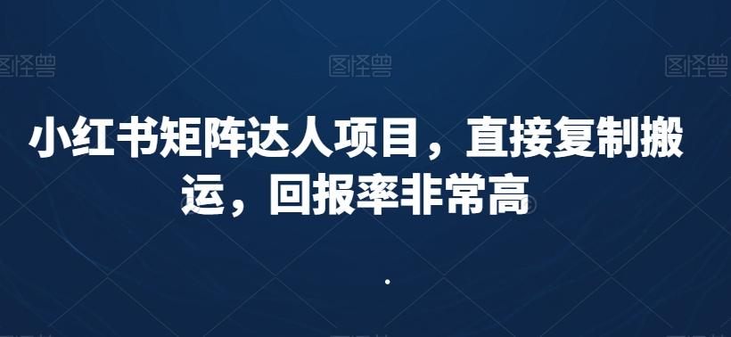 小红书矩阵达人项目，直接复制搬运，回报率非常高-随风资源网