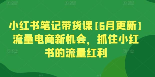 小红书笔记带货课【6月更新】流量电商新机会，抓住小红书的流量红利-随风资源网