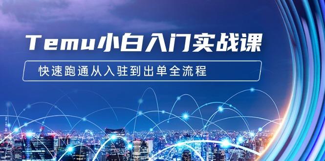 (9295期)Temu小白入门实战课：跨境拼多多电商培训 快速跑通从入驻到出单全流程-12节-随风资源网