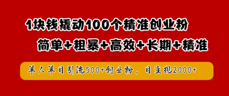 1块钱撬动100个精准创业粉，简单粗暴高效长期精准，单人单日引流500+创业粉，日变现2k【揭秘】-随风资源网