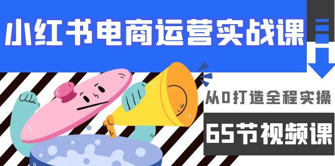 (9724期)小红书电商运营实战课，从0打造全程实操(65节视频课)-随风资源网