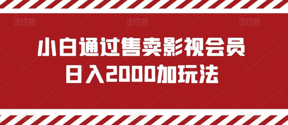 小白通过售卖影视会员日入2000加玩法-随风资源网