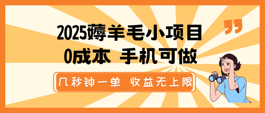 2025薅羊毛小项目，0成本 手机可做，几秒钟一单，收益无上限-随风资源网