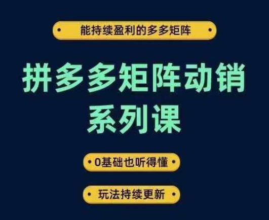 拼多多矩阵动销系列课，能持续盈利的多多矩阵，0基础也听得懂，玩法持续更新-随风资源网