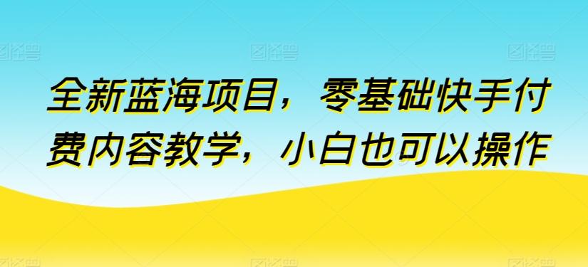 全新蓝海项目，零基础快手付费内容教学，小白也可以操作【揭秘】-随风资源网