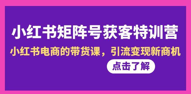 小红书-矩阵号获客特训营-第10期，小红书电商的带货课，引流变现新商机-随风资源网