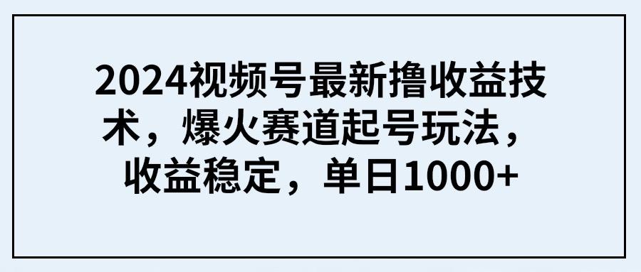 (9651期) 2024视频号最新撸收益技术，爆火赛道起号玩法，收益稳定，单日1000+-随风资源网
