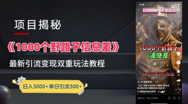 一千个野路子信息差最新玩法教程-变现+引流的玩法具体拆解【揭秘】-随风资源网