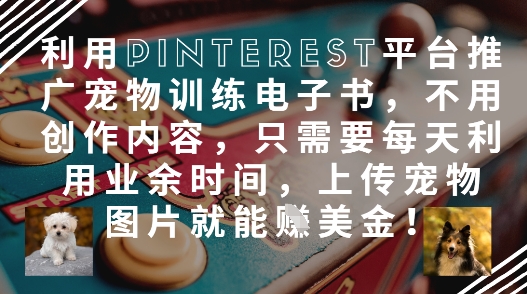 利用Pinterest平台推广宠物训练电子书，不用创作内容，只需要每天利用业余时间，上传宠物图片就能挣美金!-随风资源网