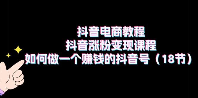 抖音电商教程：抖音涨粉变现课程：如何做一个赚钱的抖音号(18节-随风资源网