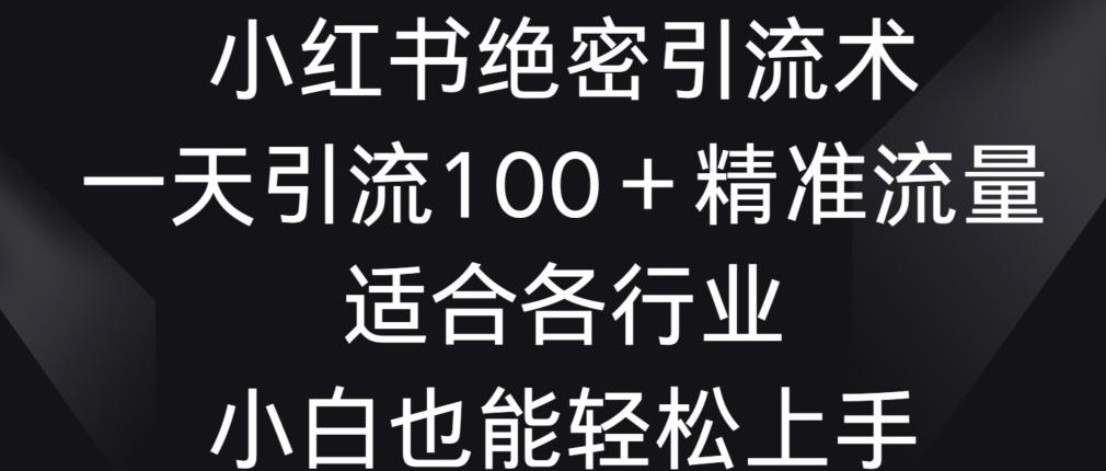 小红书绝密引流术，一天引流100+精准流量，适合各个行业，小白也能轻松上手【揭秘】-随风资源网