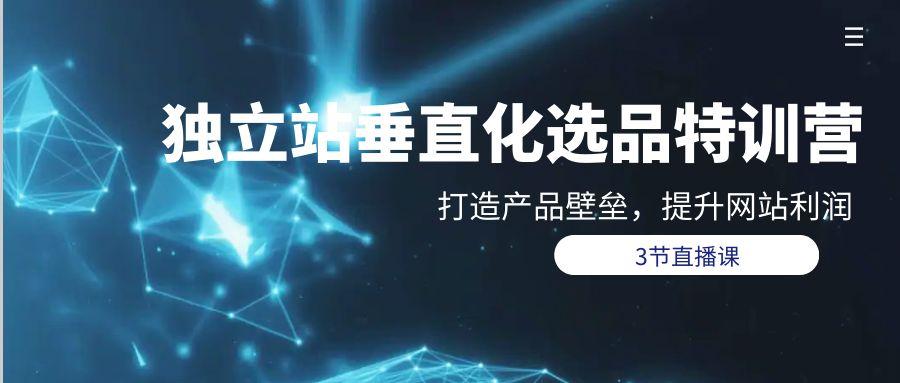 (9925期)独立站-垂直化选品训练营，打造产品壁垒，提升网站利润(3节直播课)-随风资源网