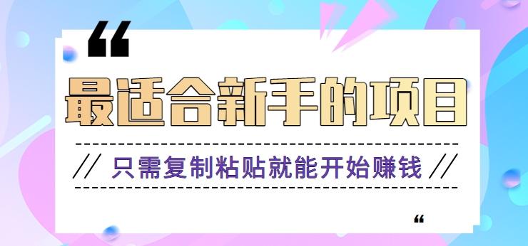 2024最适合新手操作的项目，新手小白只需复制粘贴就能开始赚钱【视频教程+软件】-随风资源网