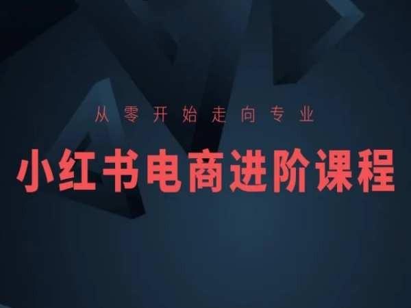 从零开始走向专业，小红书电商进阶课程-随风资源网