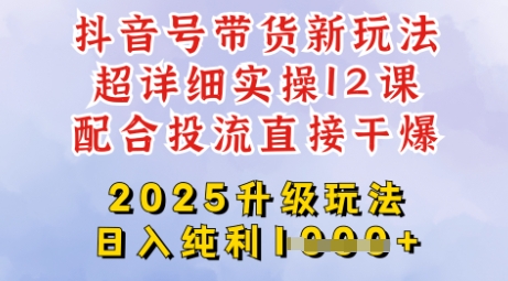 2025全新升级抖音带货玩法，一天纯利四位数，从剪辑到选品再到发布投流，超详细玩法揭秘-随风资源网