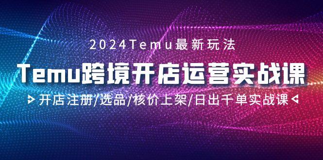 2024Temu跨境开店运营实战课，开店注册/选品/核价上架/日出千单实战课-随风资源网