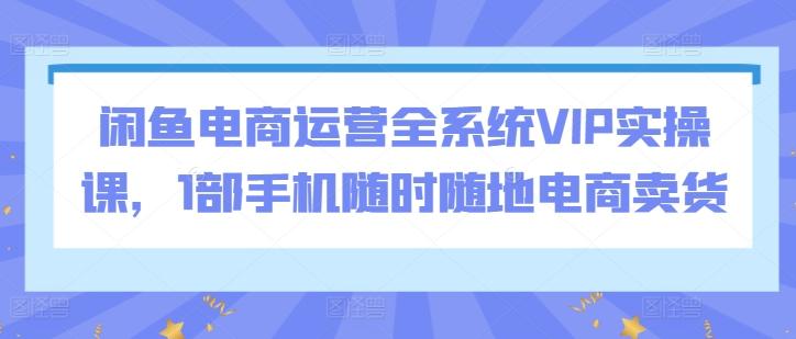 闲鱼电商运营全系统VIP实操课，1部手机随时随地电商卖货-随风资源网