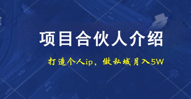 项目合伙人项目，打造个人IP，做私域月入5W，小白勿扰-随风资源网