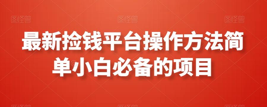 最新捡钱平台操作方法简单小白必备的项目-随风资源网