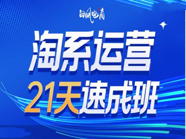 淘系运营21天速成班35期，年前最后一波和2025方向-随风资源网