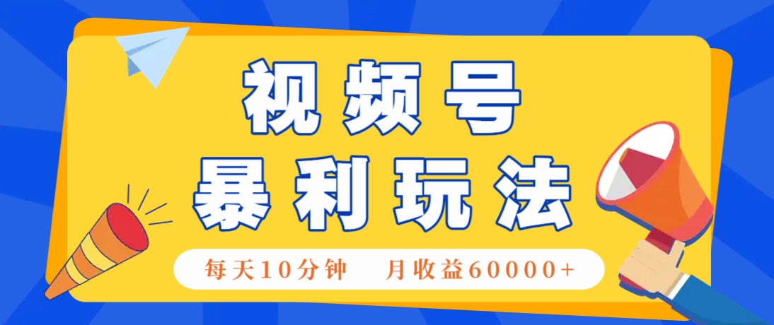 视频号AI赚钱法，每天只需10分钟，月入6万+！(超详细拆解)-随风资源网