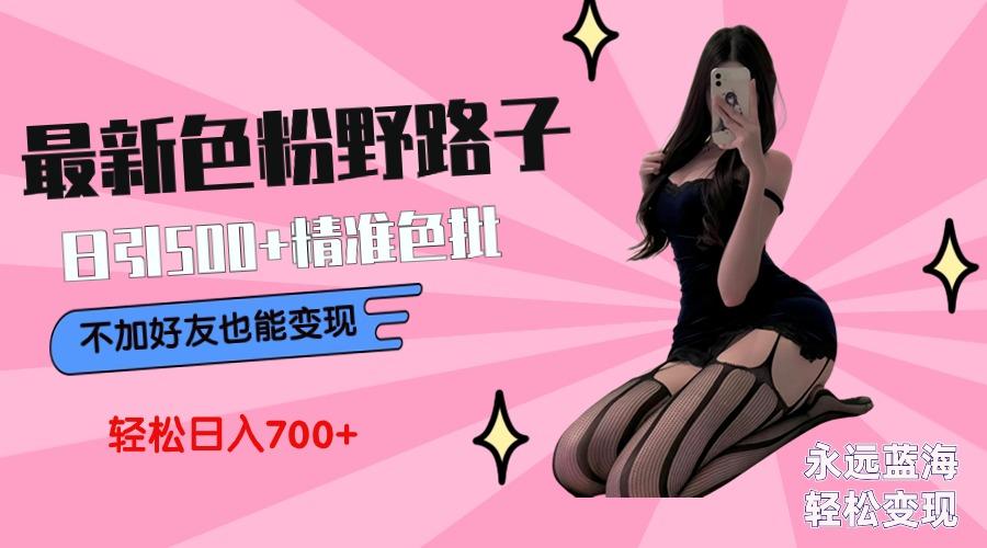 最新色粉变现野路子，日引500+老色批 可不加好友直接变现 小白轻松日入700+-随风资源网