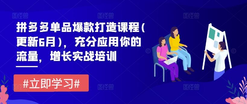 拼多多单品爆款打造课程(更新6月)，充分应用你的流量，增长实战培训-随风资源网