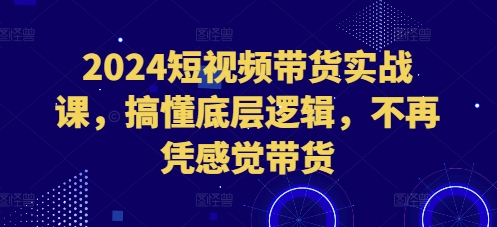 2024短视频带货实战课，搞懂底层逻辑，不再凭感觉带货-随风资源网