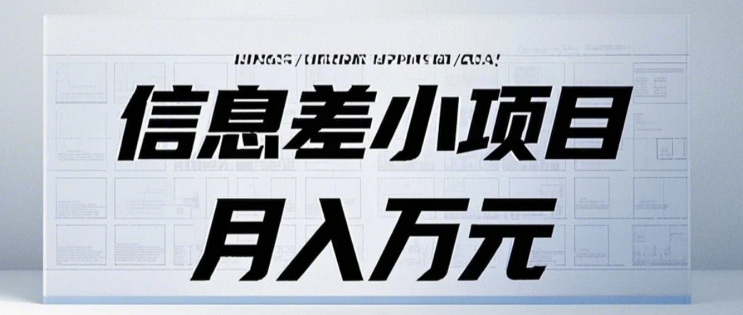信息差小项目：国内外视频代下载，项目操作简单零成本零门槛月入过万-随风资源网