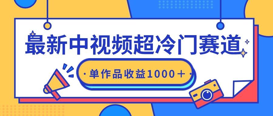 (9275期)最新中视频超冷门赛道，轻松过原创，单条视频收益1000＋-随风资源网