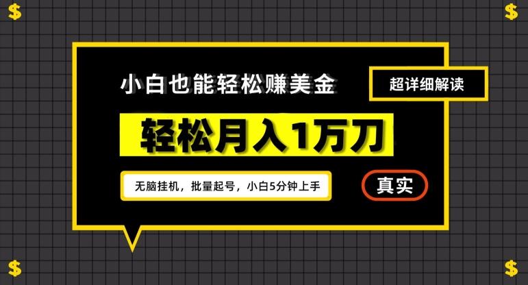 谷歌看广告撸美金2.0，无脑挂机，多号操作，月入1万刀【揭秘】-随风资源网